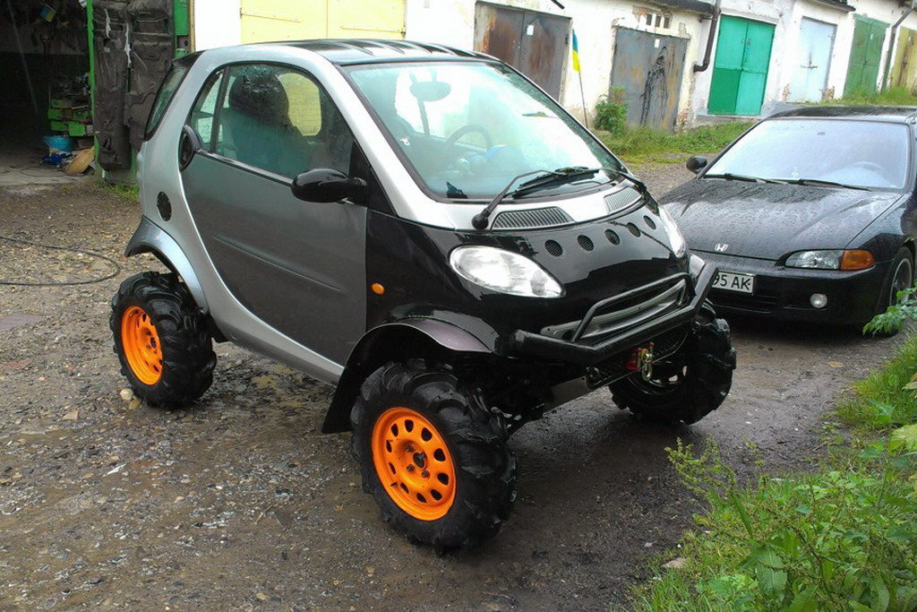 vo_lvove_smart_prevratili_v_baggi_2.jpg
