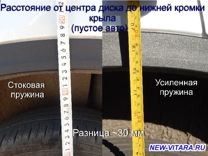 7347.jpg